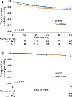 Estimated plasma volume status: association with congestion, cardiorenal syndrome and prognosis in precapillary pulmonary hypertension